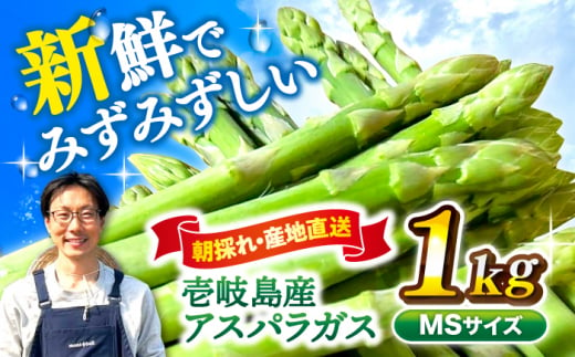 【アスパラガス専門農家が作る！】壱岐産アスパラガス1kg(MSサイズ)≪壱岐市≫【きたじま農園】国産 冷蔵配送 産地直送 朝採れ 新鮮 [JGI004] 1413672 - 長崎県壱岐市