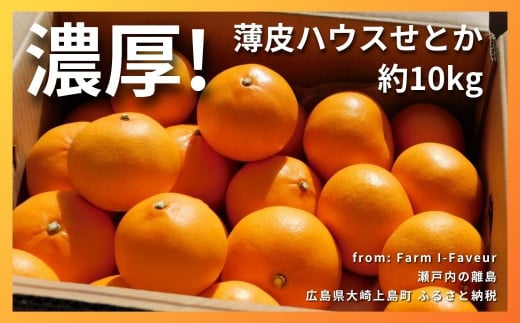 [2月発送] 濃厚!!!! 果汁たっぷり薄皮ハウスせとか 約10kg(35個程度)　広島県 大崎上島町 瀬戸内 柑橘 果物 フルーツ 贈答 ギフト 1414040 - 広島県大崎上島町