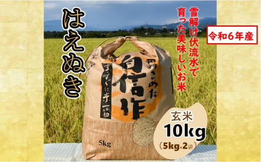 人気のブランド米　はえぬき　玄米10kg（令和6年山形県飯豊町産） 1412591 - 山形県飯豊町