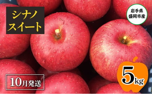 【10月発送】盛岡市産 田村ふぁーむ 家庭用 シナノスイート5kg（14～20玉） 1414930 - 岩手県盛岡市