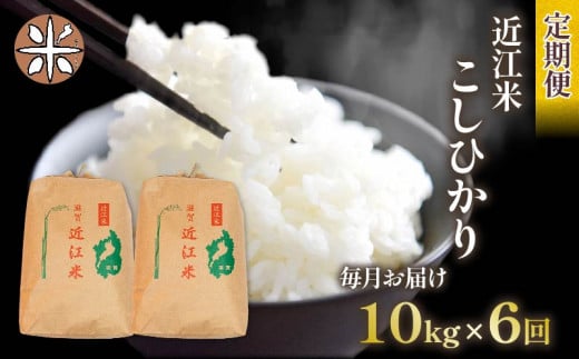 令和6年産 新米 こしひかり 定期便 10kg 全6回 白米 5㎏ × 2袋 6ヶ月 近江米 コシヒカリ 国産 お米 米 おこめ ごはん ご飯 白飯 しろめし こめ ゴハン 御飯 滋賀県産 竜王 ふるさと ランキング 人気 おすすめ 1001766 - 滋賀県竜王町