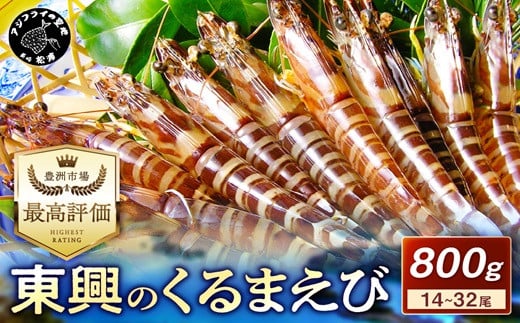 【先行予約】【宅配BOX不可】東興のくるまえび800g入【11月下旬～12月発送】( くるまえび 東興のくるまえび 車海老 海老 エビ )【C8-017-12M】