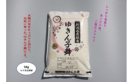 【令和6年産米】【6ヶ月定期便】ゆきん子舞 白米 5kg×6ヶ月 1039022 お米 米 精米 ご飯 ごはん 1413213 - 新潟県村上市