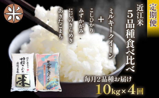 令和6年産 新米 定期便 10kg 全4回 ミルキークイーン  + 4品種 食べ比べ ( こしひかり みずかがみ にじのきらめき あきたこまち ) 全5品種 白米 各 5㎏ × 2袋 3ヶ月 近江米  国産 お米 米 おこめ ごはん ご飯 白飯 しろめし こめ ゴハン 御飯 滋賀県産 竜王 ふるさと ランキング 人気 おすすめ 1442086 - 滋賀県竜王町