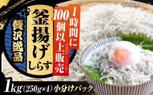 鮮度抜群＆水分率80％!ふわふわ釜揚げしらす 1kg 冷凍 シラス しらす 鮮魚 ギフト 海鮮丼 広島県 江田島/三島水産株式会社 [XCN001] 1394050 - 広島県江田島市