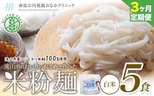 【毎月定期便3回】米粉麺 国産 流山のおいしいおこめで作った米粉麺 1食120g 5食 グルテンフリー 米粉 お米の麺 パスタ ラーメン 中華 そうめん アレルギー対応 麺 米粉 常温 長期保存 千葉県 流山市 こしひかり ライスヌードル ヘルシー 1194833 - 千葉県流山市