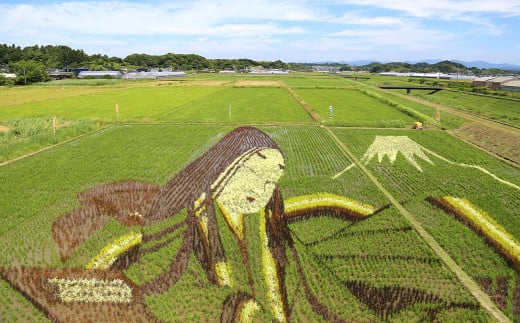 静岡県 菊川市 日本旅行 地域限定 旅行 クーポン 300,000円分 旅行券 観光 宿泊 体験 トラベル クーポン|株式会社日本旅行