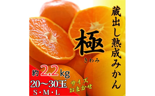 徳島県佐那河内村のふるさと納税 [№5852-0360]蔵出し熟成みかん『極』　※2025年2月中旬頃から発送　※離島不可　[みかん ミカン 蜜柑  mikan 貯蔵 温州 うんしゅう 晩成 柑橘 佐那河内 さなごうち 徳島県 箱入り 化粧箱 S M L フルーツ 果物 くだもの 贈答 進物]