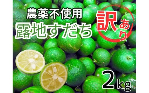 徳島県佐那河内村のふるさと納税 [№5852-0474]訳あり【Ｂ級】露地スダチ2kg　※9月中旬頃から発送　※離島不可　［すだち 佐那河内産 徳島県産 訳あり 柑橘 無農薬 刺身 魚 ジャム ぽん酢 ポン酢 焼酎 有機栽培 不揃い 1キロ 2キロ 家庭用 果汁 高評価］