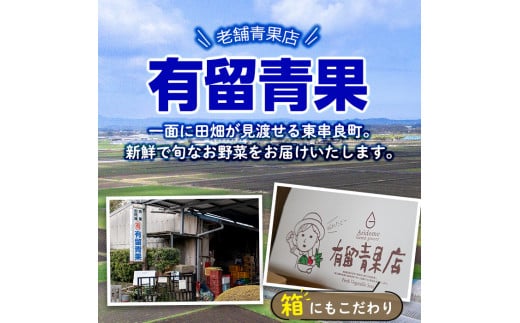 鹿児島県東串良町のふるさと納税 【0503603b】＜定期便・全4回＞自慢の農家×老舗青果店のフルーツ定期便(4回) いちご メロン マンゴー 肥後グリーン 果物 フルーツ 果実 セット【有留青果】