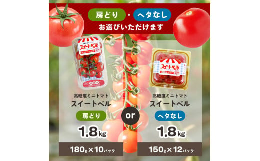 7月発送】 高糖度 ミニトマト スイートベル （ 房どり ） 180g × 10P | 野菜 トマト ミニトマト プチトマト トマト 高糖度 トマト  とまと 小分け 君津とまとガーデン 千葉 君津 きみつ - 千葉県君津市｜ふるさとチョイス - ふるさと納税サイト