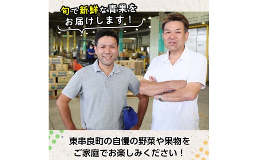 鹿児島県東串良町のふるさと納税 【0503603b】＜定期便・全4回＞自慢の農家×老舗青果店のフルーツ定期便(4回) いちご メロン マンゴー 肥後グリーン 果物 フルーツ 果実 セット【有留青果】