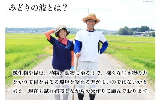 石川県宝達志水町のふるさと納税 【期間限定発送】 米 令和6年 ひゃくまん穀 精米 5kg [みどりの波 石川県 宝達志水町 38601066] お米 こめ コメ 5キロ 白米 ひゃくまんごく 美味しい