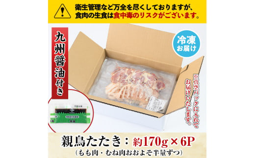 鹿児島県日置市のふるさと納税 No.480 鹿児島名物！親鳥たたき(計約1kg・約170g×6P・極甘口の九州醤油付き)国産 鹿児島 日置市 刺身 鳥刺し 鶏肉 鳥肉 もも肉 むね肉 モモ ムネ 鶏たたき タタキ 小分け 小分けパック 晩酌 おつまみ 冷凍 発送【まこと屋】