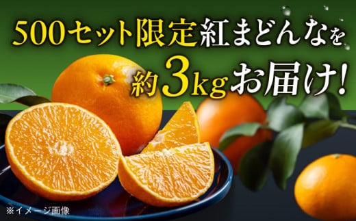 まるでゼリーのようにとろけるみかん！ 紅まどんな Lサイズ　約3kg（15玉入）