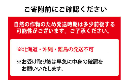 鹿児島県東串良町のふるさと納税 【0503603b】＜定期便・全4回＞自慢の農家×老舗青果店のフルーツ定期便(4回) いちご メロン マンゴー 肥後グリーン 果物 フルーツ 果実 セット【有留青果】