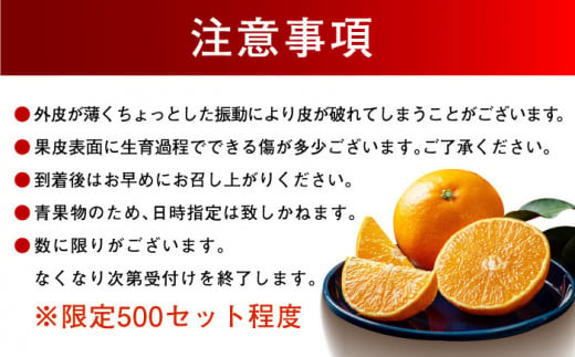 愛媛県大洲市のふるさと納税 【先行予約】【11月下旬から順次発送】【期間・数量限定】愛媛限定栽培！ 紅まどんな Lサイズ 約3kg（15玉入）化粧箱入  果物 フルーツ みかん ミカン 紅まどんな 紅マドンナ 　＼レビューキャンペーン中／愛媛県大洲市/愛媛たいき農業協同組合[AGAO006]