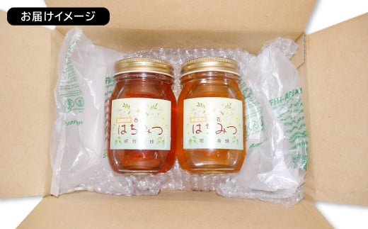 百花はちみつ 2本セット【蜂蜜 ハチミツ 500g 2本 天然 純粋 国産 百花蜜 非加熱 無添加 HONEY ハニー 島根県 益田市】 - 島根県益田 市｜ふるさとチョイス - ふるさと納税サイト