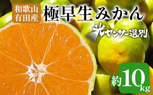 こだわりの極早生みかん 約10kg 農家直送 有機質肥料100% サイズ混合 ｜ みかん 極早生 早生 柑橘 果物 くだもの 果実 フルーツ 和歌山 有田 ※北海道・沖縄・離島への配送不可 ※2025年9月下旬～10月中旬頃に順次発送予定