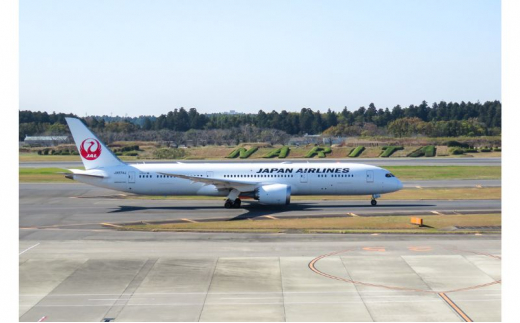 [№5904-0560]JAL成田航空機整備センターへ特別潜入!成田空港非公開エリア見学ツアー 1416580 - 千葉県成田市