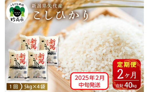 【2025年2月中旬発送】【定期便】令和6年産 新潟県矢代産コシヒカリ20kg(5kg×4袋)×2回（計40kg）