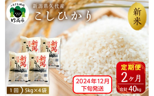 【2024年12月下旬発送】【定期便】令和6年産 新潟県矢代産コシヒカリ20kg(5kg×4袋)×2回（計40kg）