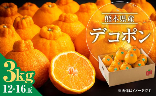 熊本県産 デコポン 3kg 果物 フルーツ くだもの 柑橘 みかん 蜜柑 [2025年3月上旬発送開始]