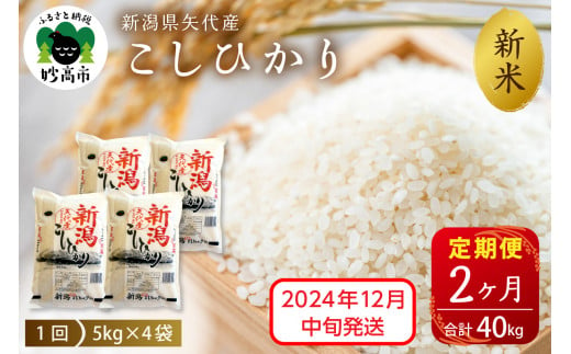 【2024年12月中旬発送】【定期便】令和6年産 新潟県矢代産コシヒカリ20kg(5kg×4袋)×2回（計40kg）