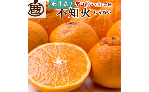 【 家庭用 】  不知火約5kg+150g（傷み補償分）【人気の春みかん】【光センサー食頃出荷】【わけあり・訳あり】【2025年2月初旬～2025年3月末日頃 順次発送予定】【IKE53】 1415624 - 和歌山県かつらぎ町