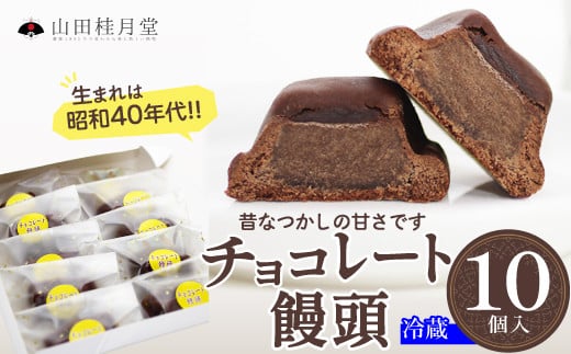 チョコレート饅頭１０個入 35P5606 1420456 - 秋田県大館市