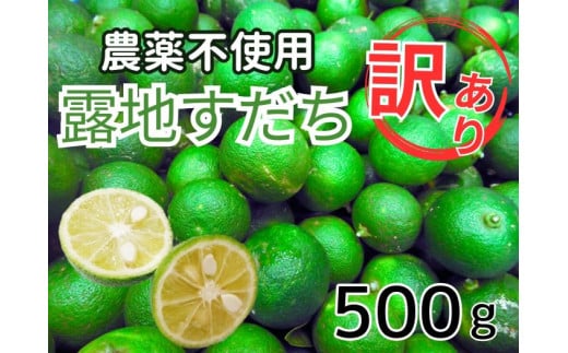 [№5852-0744]訳あり【Ｂ級】露地スダチ　500g　※9月頃から発送　※離島不可 1417434 - 徳島県佐那河内村