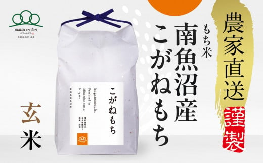 新米予約【令和6年産】30kg もち米玄米 南魚沼産こがねもち_AG 1416171 - 新潟県南魚沼市