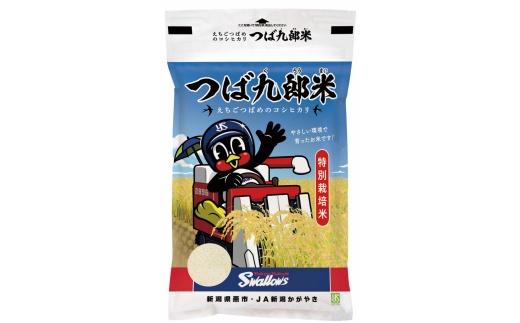 令和6年産 厳選コシヒカリ つば九郎米 白米8kg FC022068 375549 - 新潟県燕市