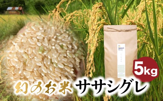 【令和6年産】 ササシグレ 5kg 白米 米 ごはん お米 新米 精米 無農薬栽培 無化学肥料栽培 サノライス [Q2331hakux_24] 24000円