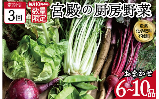 宮殿の厨房野菜 おまかせ定期便 （3回） 六月農園 野菜 セット 産地直送 おまかせ 季節の野菜 旬 詰め合わせ 人気 限定 減農薬 有機栽培 オーガニック 明和町 国産 リピート 定期便 1344941 - 三重県明和町