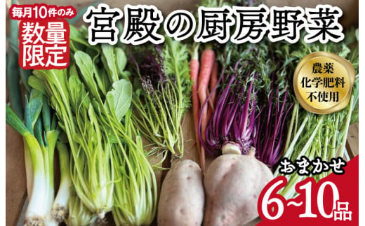 六月農園が育てる宮殿の厨房野菜セット