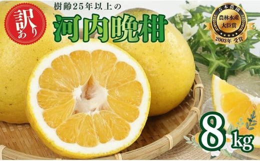 【訳あり】  河内晩柑 8kg 木取り完熟