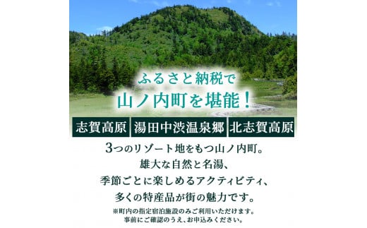 山ノ内町内宿泊補助券（2枚）1年間有効 10,000円分 年内配送可 旅行 宿泊券 ホテル 旅館 チケット 宿泊 補助券 志賀高原 湯田中渋温泉郷 北 志賀高原 地獄谷野猿公苑 温泉 ギフト 自然 観光 長野県 信州 冬 スキー - 長野県山ノ内町｜ふるさとチョイス - ふるさと納税サイト