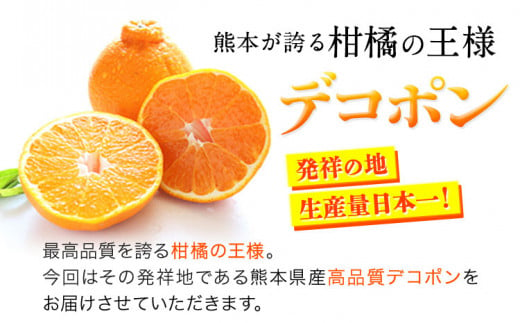 熊本県津奈木町のふるさと納税 先行予約 みかん 好き必見 ご家庭用 デコポン 生産量日本一 熊本県産 約 3.6kg （約9‐18玉前後） 柑橘 個別光センサー選果 柑橘 フルーツ 旬 不知火 でこぽん ご家庭用 早期予約 《2月上旬-4月末頃出荷》