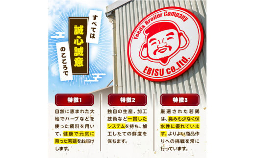 鹿児島県東串良町のふるさと納税 【0124803a-2501】＜2025年1月発送予定＞国産若鶏肉ヘルシーセット(合計6kg・ムネ、ささみ、肩小肉) 鶏肉 鳥肉 とり肉 むね肉 おかず 小分け 国産【エビス】