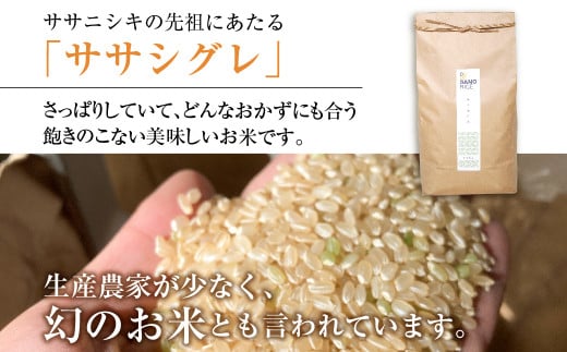 令和6年産】 ササシグレ 5kg 玄米 米 ごはん お米 新米 無農薬栽培 無化学肥料栽培 サノライス [Q2331genx_24] 24000円 -  岐阜県飛騨市｜ふるさとチョイス - ふるさと納税サイト