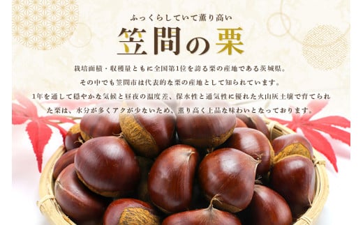 茨城県笠間市のふるさと納税 【ワケあり】 かさま 熟成栗 訳あり むき栗 500g 大きさ 不揃い 訳アリ 手作業 皮むき 栗 生栗 むき栗 冷凍 くり クリ 国産 国産栗 和栗 甘栗 栗ご飯 栗きんとん 栗おこわ 甘露煮 秋 旬 おやつ スイーツ マロン 時短 皮むき 保存料不使用 無添加 冷凍 保存 笠間市 茨城県