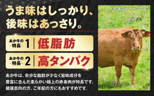 熊本県産 あか牛 ステーキ 12種 極上 食べ比べ 計6.09kg