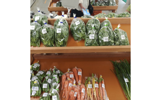 408＊さんさん市場 やさい名人がチョイスする新鮮季節の野菜2回セット - 長野県小川村｜ふるさとチョイス - ふるさと納税サイト