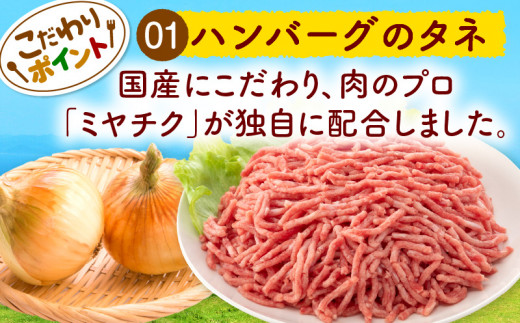 ほぐし 牛肉 入り デミグラス の ハンバーグ コレクション