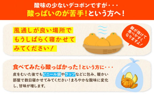 熊本県津奈木町のふるさと納税 先行予約 みかん 好き必見 ご家庭用 デコポン 生産量日本一 熊本県産 約 3.6kg （約9‐18玉前後） 柑橘 個別光センサー選果 柑橘 フルーツ 旬 不知火 でこぽん ご家庭用 早期予約 《2月上旬-4月末頃出荷》