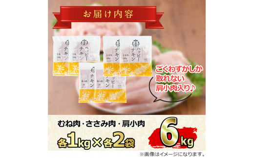 鹿児島県東串良町のふるさと納税 【0124803a-2501】＜2025年1月発送予定＞国産若鶏肉ヘルシーセット(合計6kg・ムネ、ささみ、肩小肉) 鶏肉 鳥肉 とり肉 むね肉 おかず 小分け 国産【エビス】