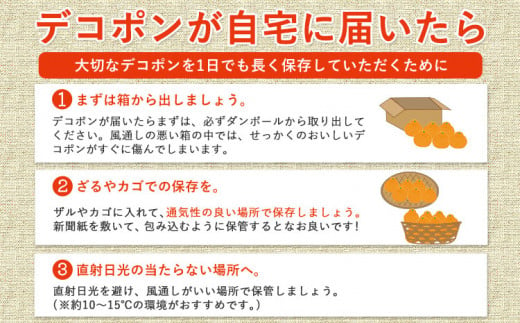 熊本県津奈木町のふるさと納税 先行予約 みかん 好き必見 ご家庭用 デコポン 生産量日本一 熊本県産 約 3.6kg （約9‐18玉前後） 柑橘 個別光センサー選果 柑橘 フルーツ 旬 不知火 でこぽん ご家庭用 早期予約 《2月上旬-4月末頃出荷》