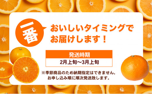 愛媛県砥部町のふるさと納税 愛媛県産せとか（ハウス）[50R0846] 【高島屋選定品】 [№5310-0042]