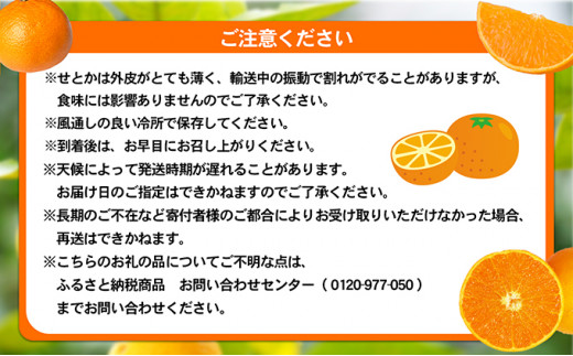 愛媛県砥部町のふるさと納税 愛媛県産せとか（ハウス）[50R0846] 【高島屋選定品】 [№5310-0042]